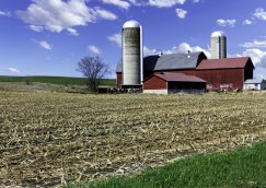 American Country Farm